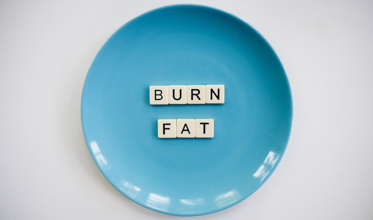 Burn Fat Food