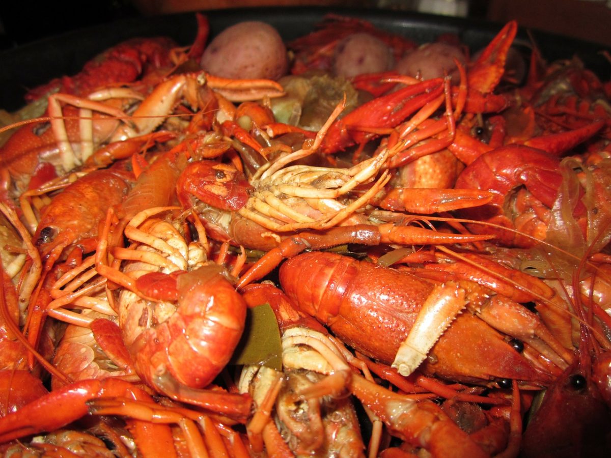 ABC Facts Cajun cuisine in Louisiana